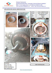 Read more about the article Rewinding 18,5kw 2930 Rpm sep-2024